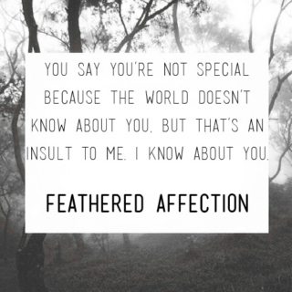 feathered affection