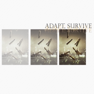 adapt, survive