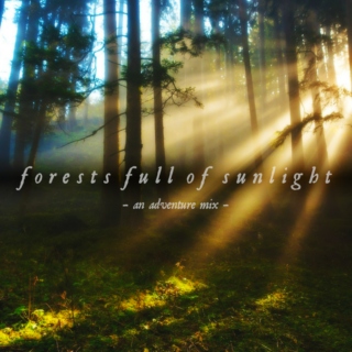 Forests Full of Sunlight