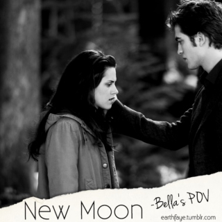 New Moon - Bella's POV