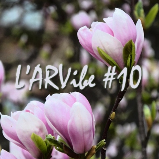L'ARVibe #10