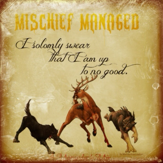 "Mischief is Never Managed."