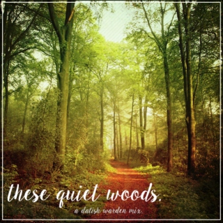 These Quiet Woods