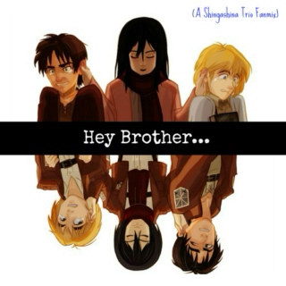 Hey Brother (A Shingashina Trio Fanmix)