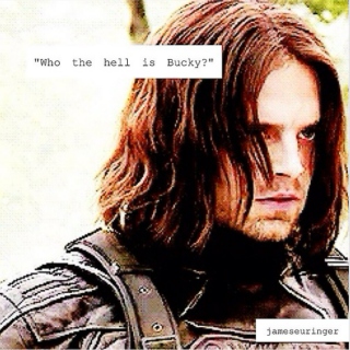 "Who the hell is Bucky?"