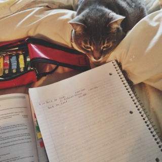 "Yes mom, I'm doing my homework"