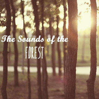 The Sounds of the Forest