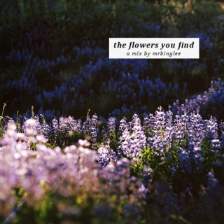 the flowers you find