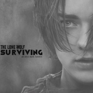 the lone wolf surviving; an arya stark fanmix