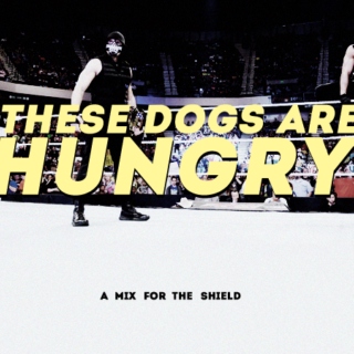 THESE DOGS ARE HUNGRY