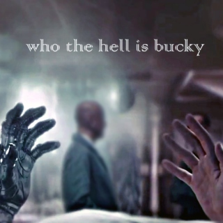 who the hell is bucky