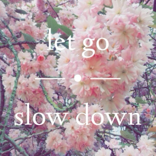 let go - slow down