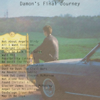 Damon's Final Journey