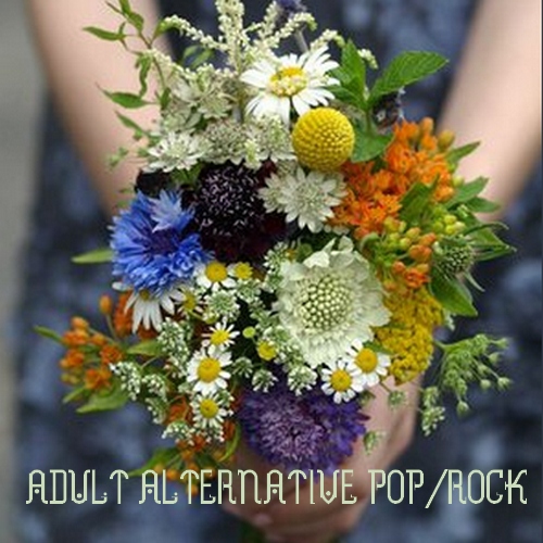 Adult Alternative Pop 93