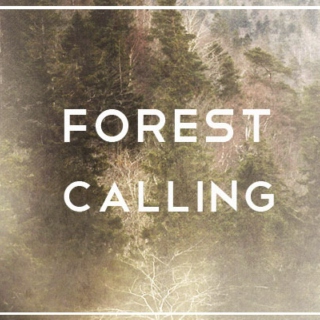 Forest Calling