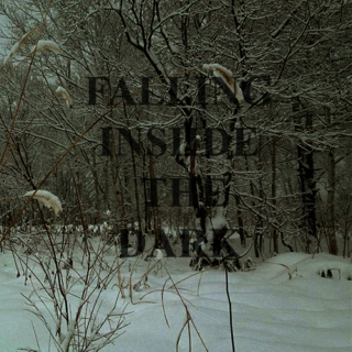 Falling Inside the Dark