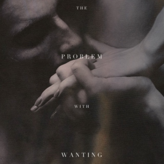 the problem with wanting
