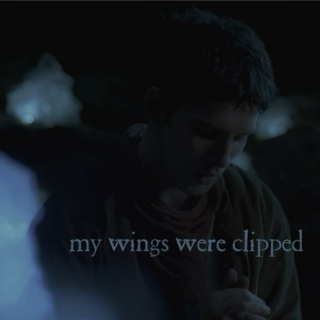my wings were clipped