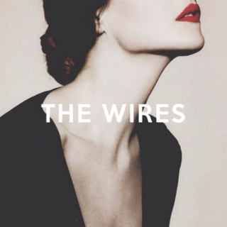 the wires.