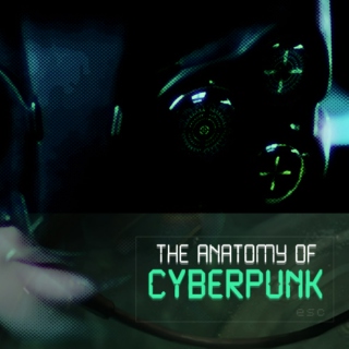The Anatomy of Cyberpunk