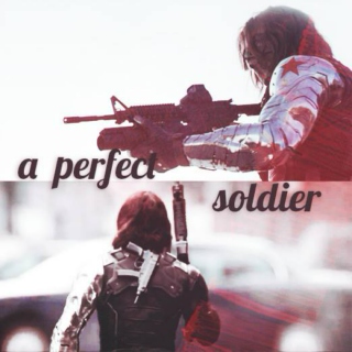 a perfect soldier