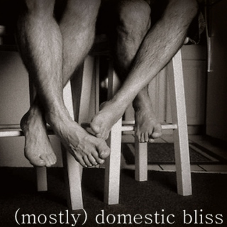 (mostly) domestic bliss