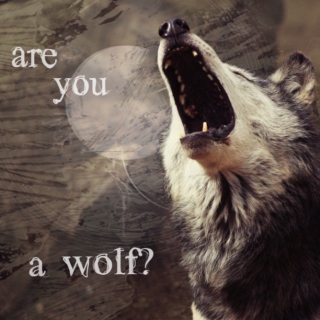 are you a wolf?