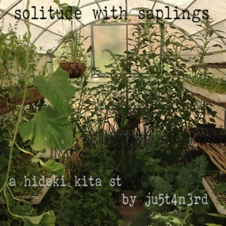 solitude with saplings {a hideki kita st}