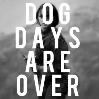 Dog Days Are Over || Arya Stark