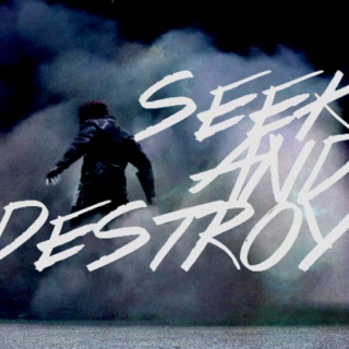 seek and destroy