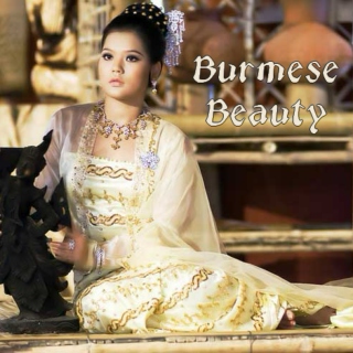 Burmese Beauty