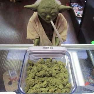 Yoda Rap