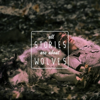 All Stories Are About Wolves
