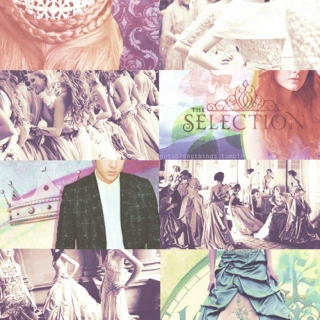 The Selection Series ♥ (FanMade)
