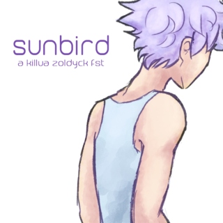 sunbird | a killua zoldyck fst