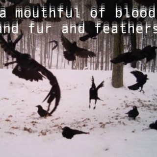 a mouthful of blood and fur and feathers