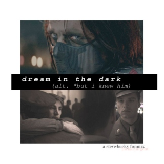 dream in the dark