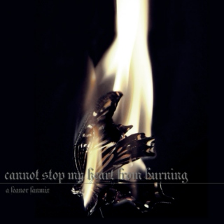 cannot stop my heart from burning
