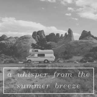 a whisper from the summer breeze