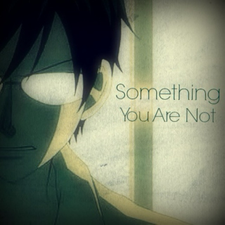 Something You Are Not