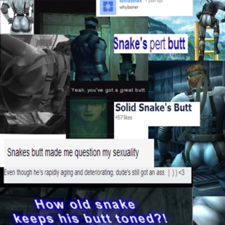 ♥ snake's donk ♥