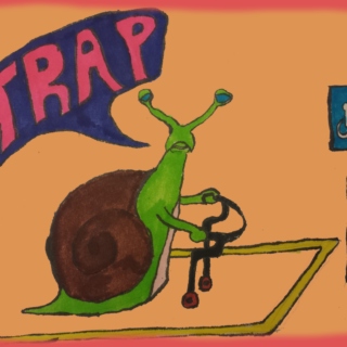 Trap Animal #4