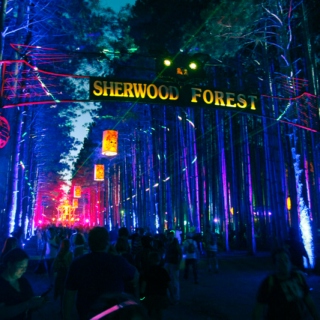 The Electric Forest 2014 Mix