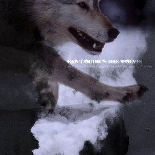 Can't Outrun the Wolves