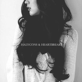 halycons & heartbreak