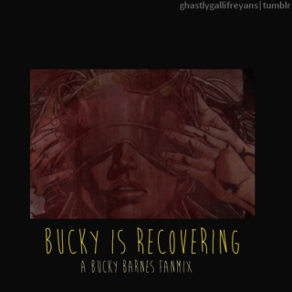 bucky is recovering