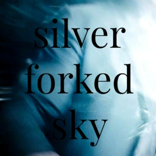 silver forked sky