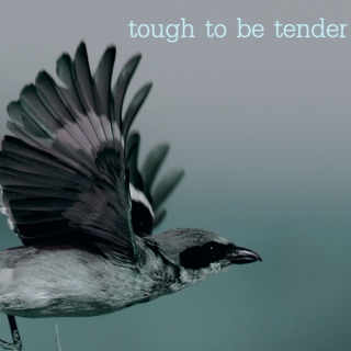 tough to be tender