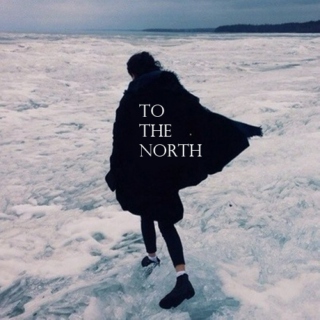 to the north