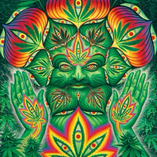 Marijuana Mindset